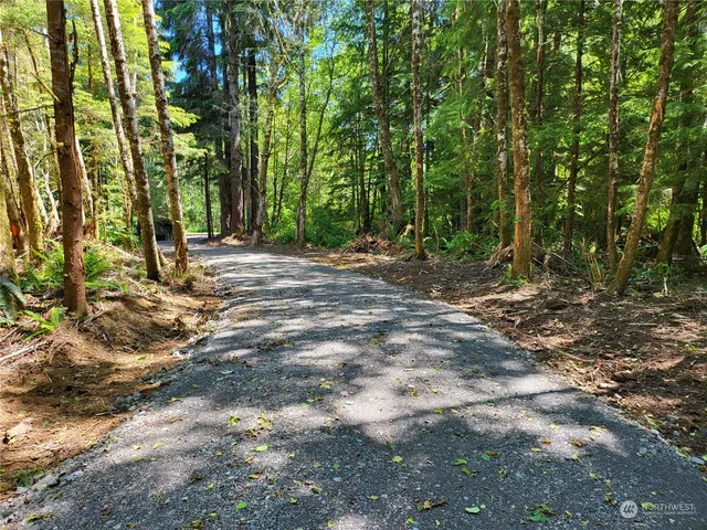 a backyard of a house with lots of plants and tree