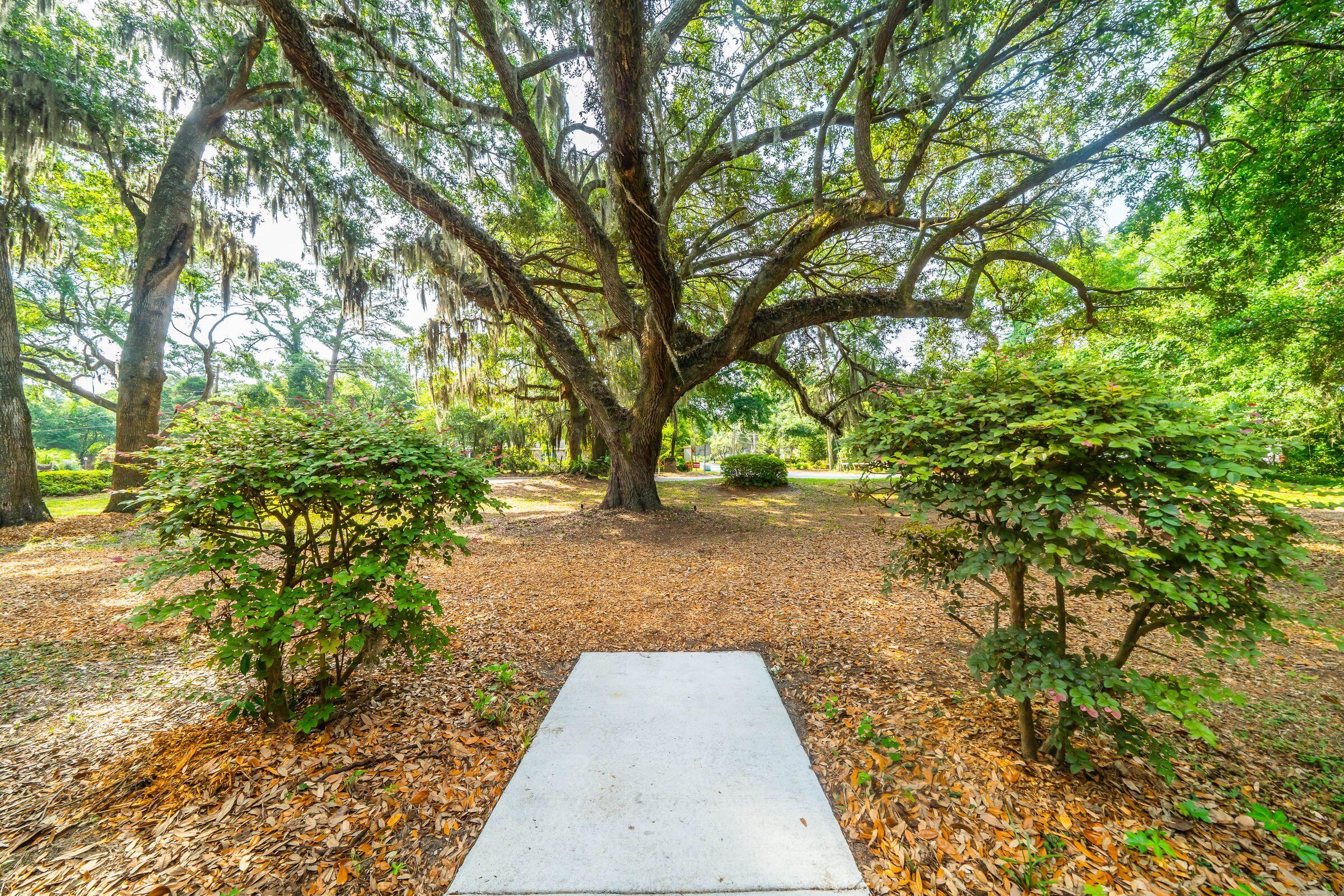 562 Fort Johnson Road Charleston, SC 29412 - Photo 6 of 52 562FortJohnsonRd-KeenEyeMarketing-011