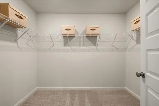 a view of a livingroom with couch and closet