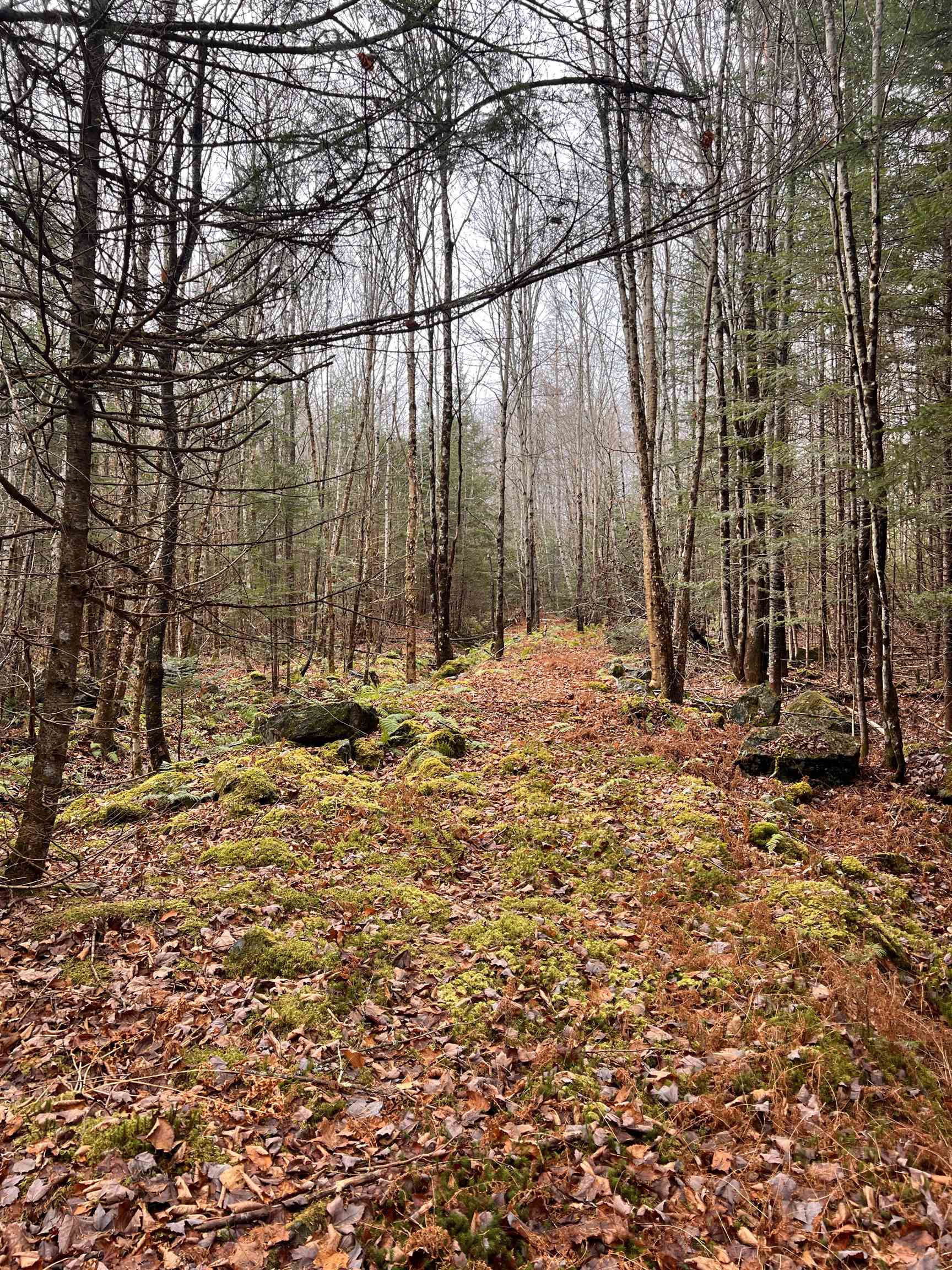 0 Sunrise Acres Drive Lunenburg, VT 05906 - Photo 14 of 15