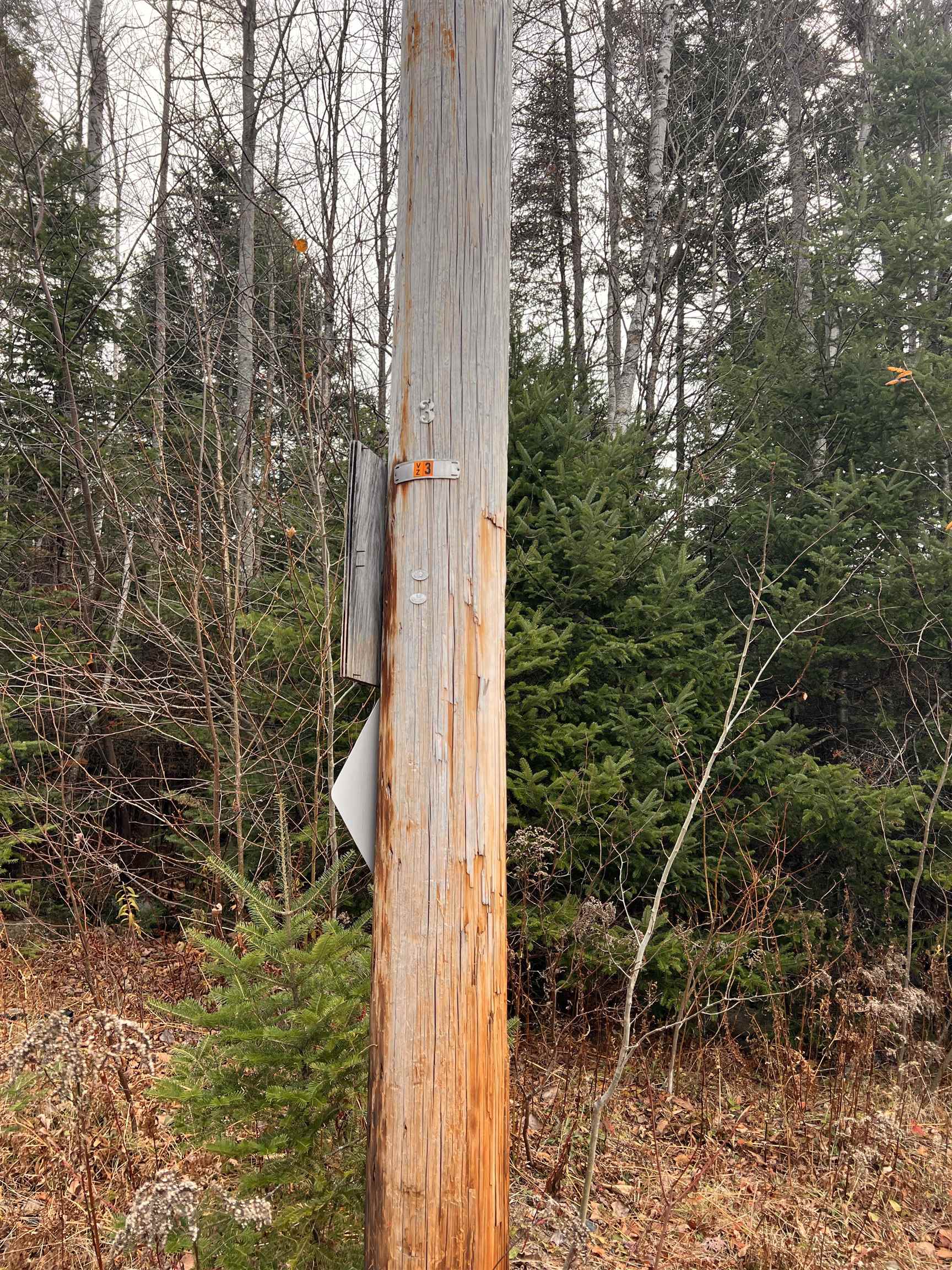 0 Sunrise Acres Drive Lunenburg, VT 05906 - Photo 15 of 15