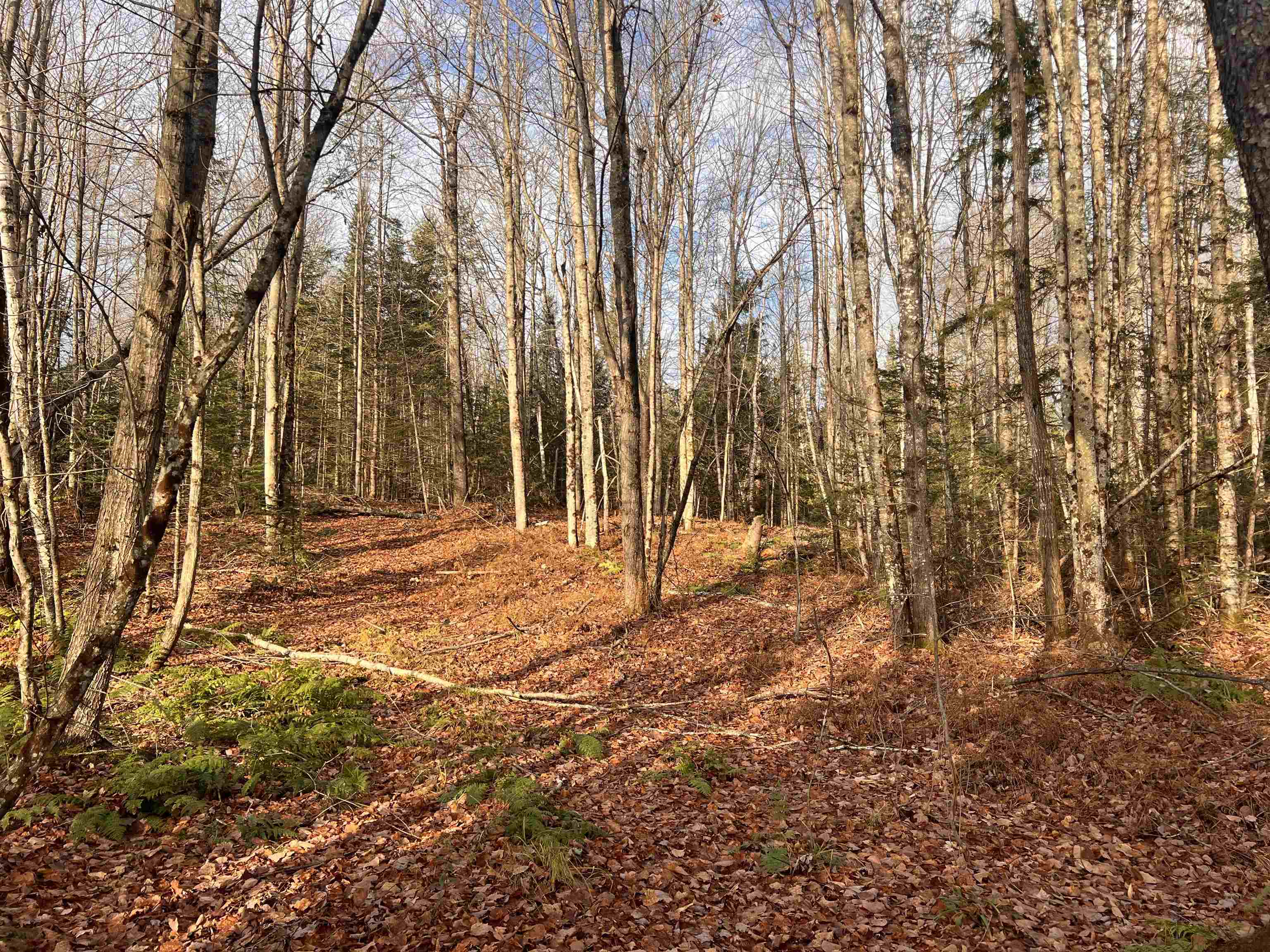 0 Sunrise Acres Drive Lunenburg, VT 05906 - Photo 2 of 15