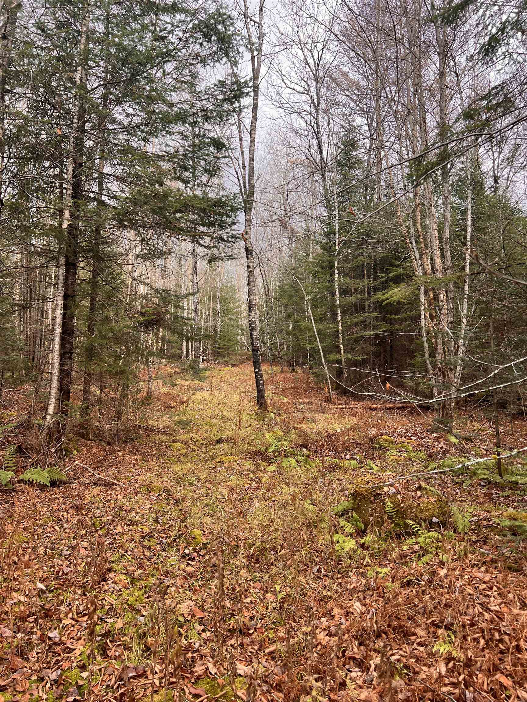 0 Sunrise Acres Drive Lunenburg, VT 05906 - Photo 4 of 15