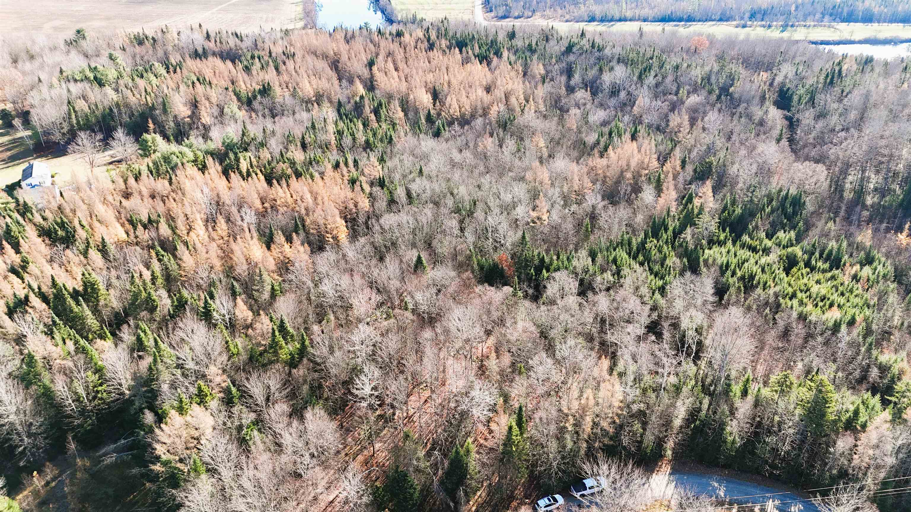 0 Sunrise Acres Drive Lunenburg, VT 05906 - Photo 6 of 15
