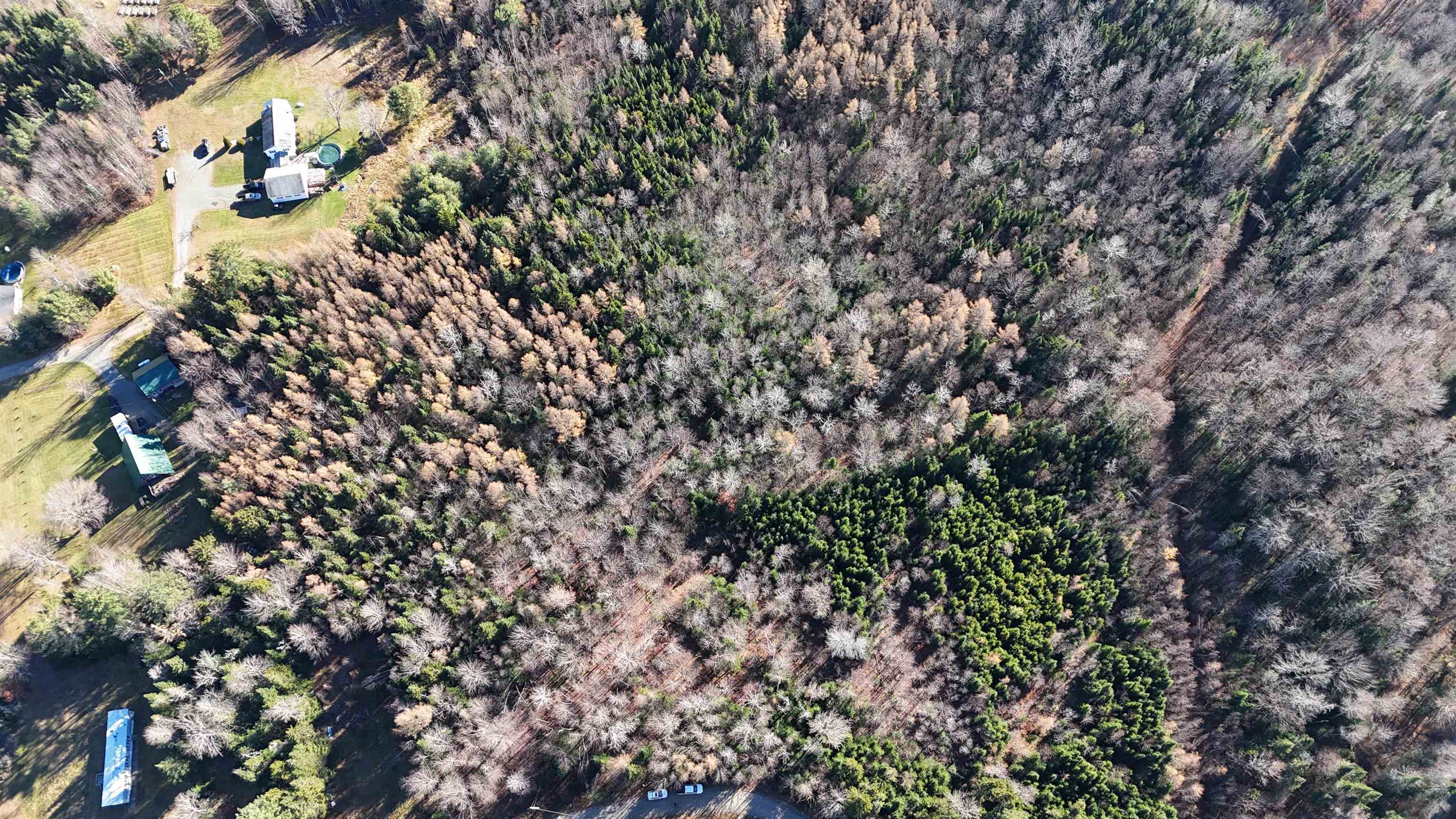 0 Sunrise Acres Drive Lunenburg, VT 05906 - Photo 8 of 15