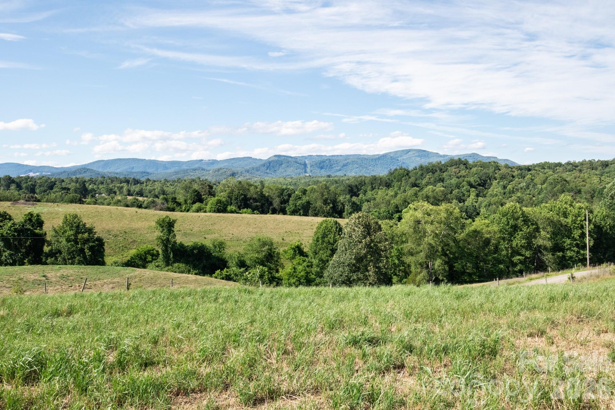 1779 Roundhill Church Road Traphill, NC 28685 - Photo 16 of 42