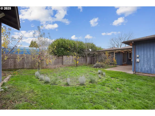 a view of a backyard with a plants