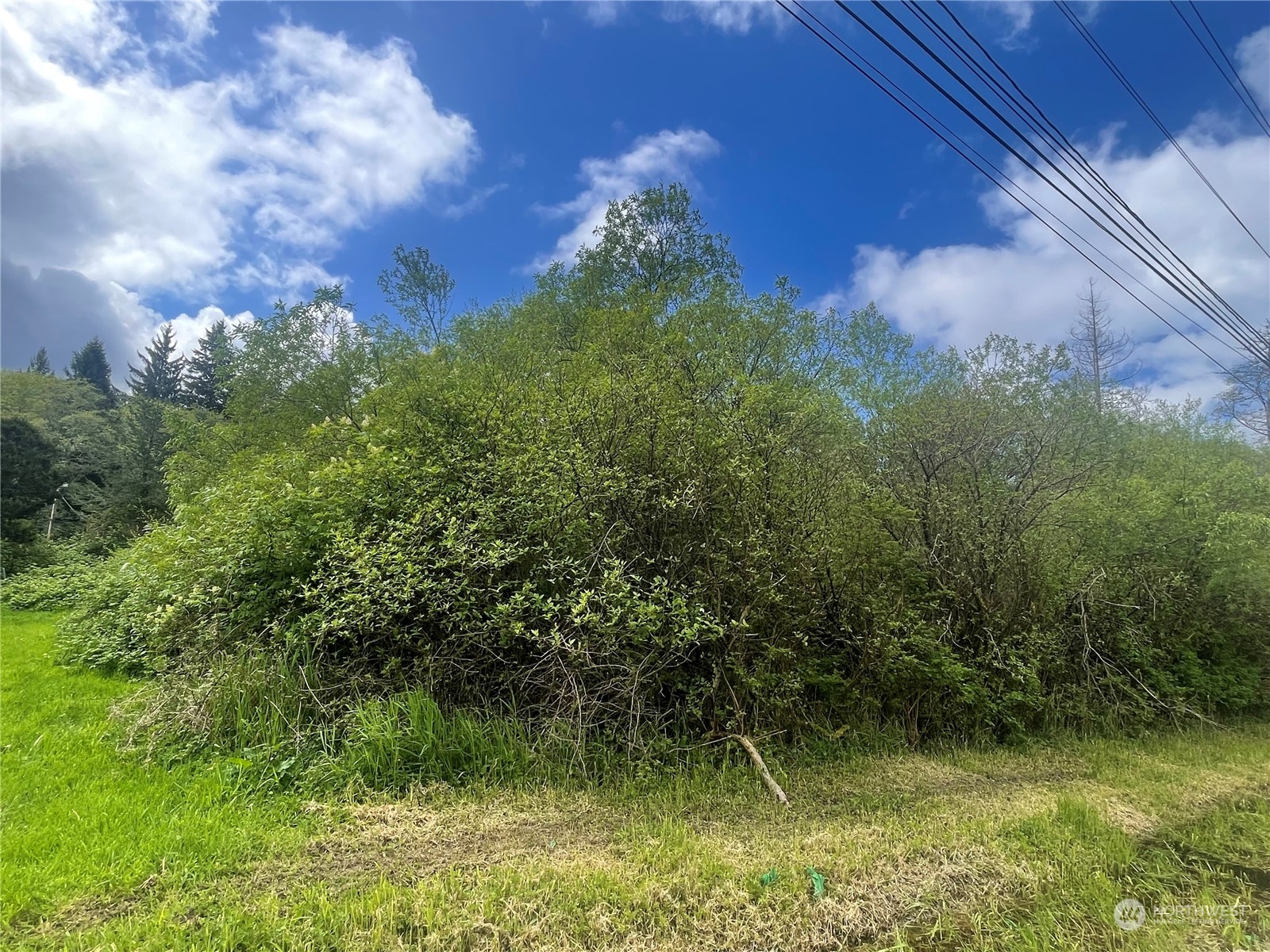 515 West Huntley Street Aberdeen, WA 98520 - Photo 2 of 6 a view of a yard