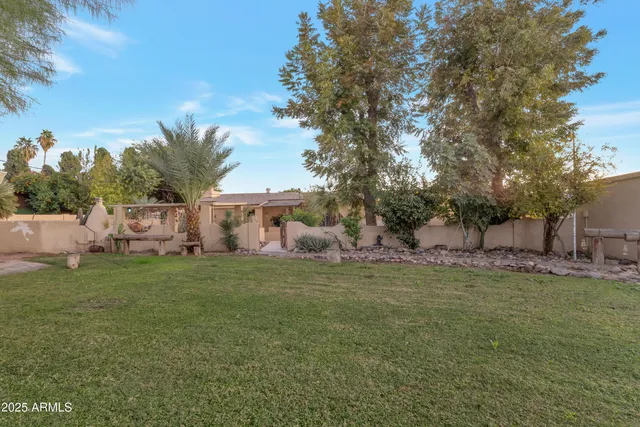 a view of a backyard with large trees