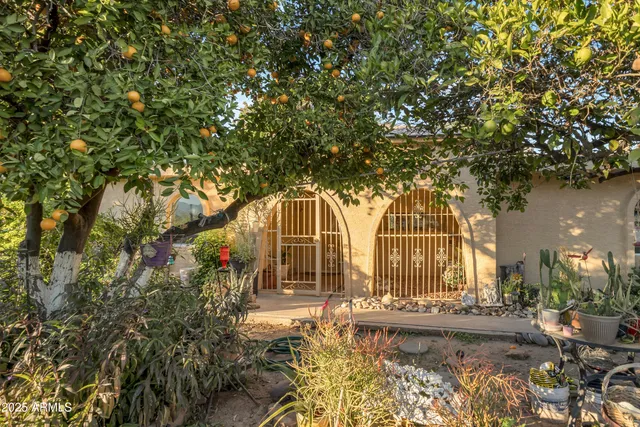 a view of a yard with an tree