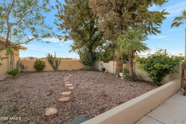 a view of a backyard with plants and trees