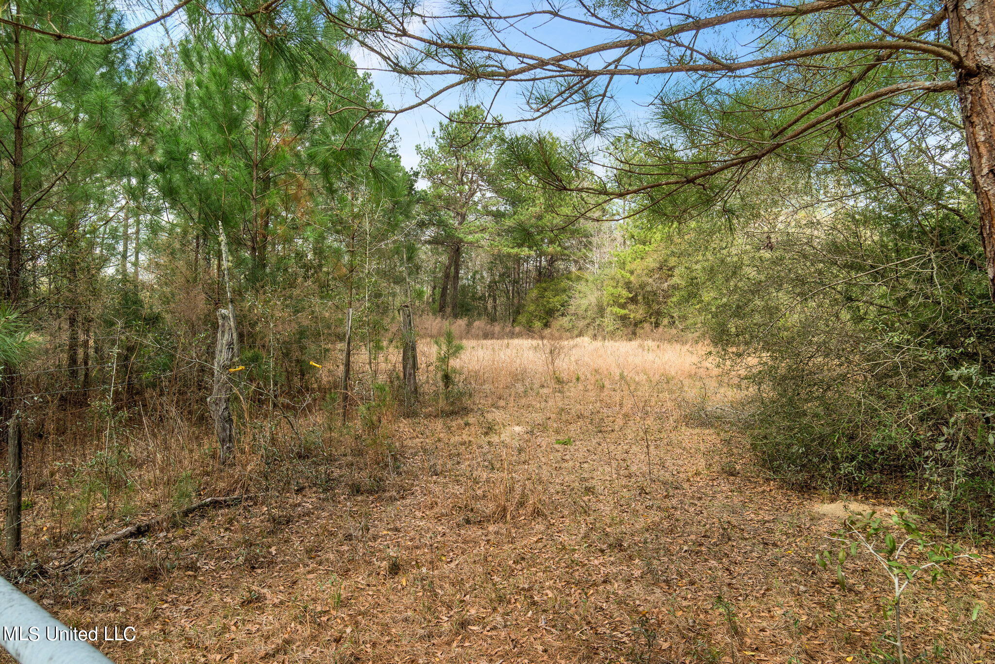 4055 Riverside Road State Line, MS 39362 - Photo 48 of 52 3055_RIVERSIDE_ROAD-48