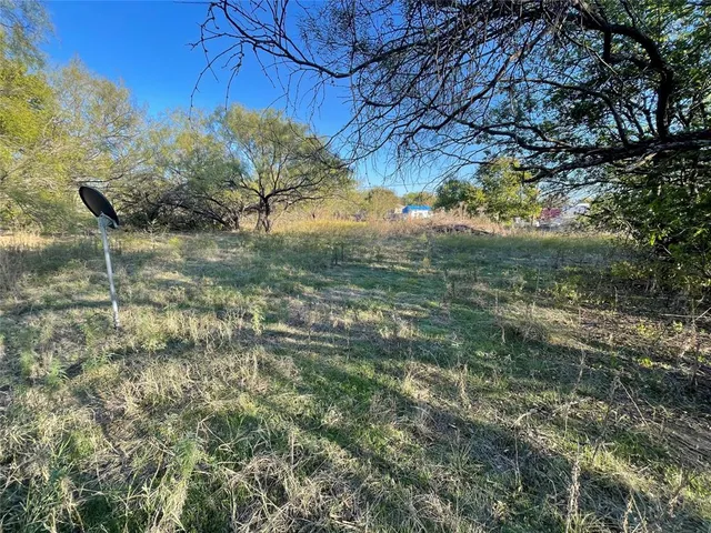 a view of a yard with a tree
