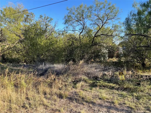 a view of a lot of plants and trees