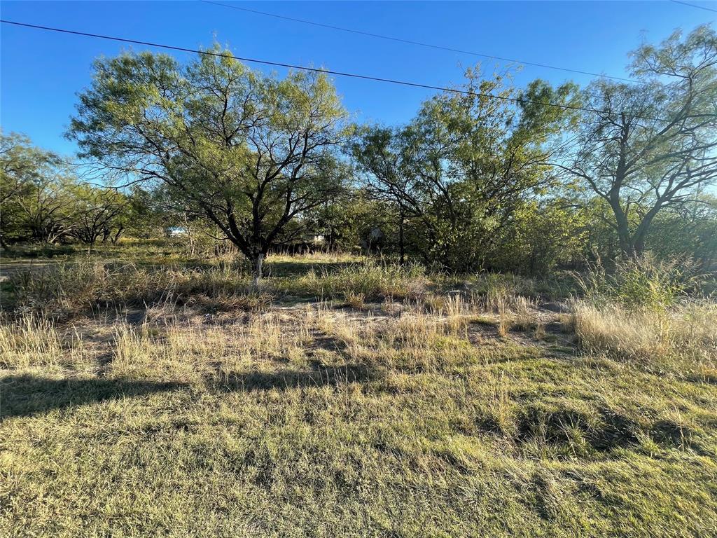 Tbd Fm 576 Moran, TX 76464 - Photo 3 of 6 a view of lake view