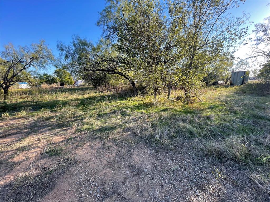 Tbd Fm 576 Moran, TX 76464 - Photo 6 of 6 a view of a yard with a tree