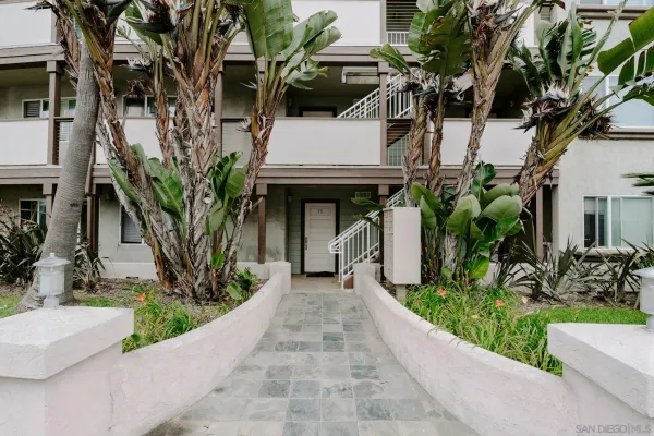 a view of a house with a small yard plants and large tree