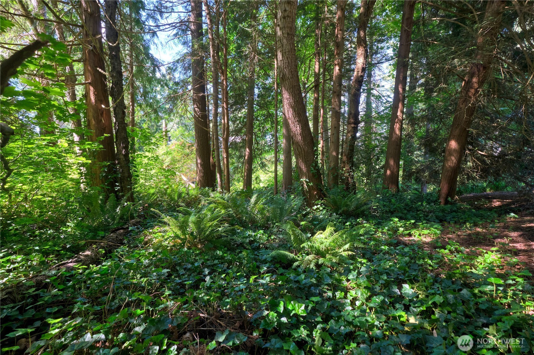 67 Province Road Point Roberts, WA 98281 - Photo 3 of 7