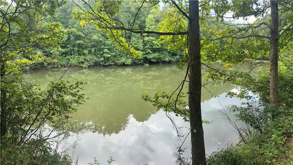 a view of a lake with a yard