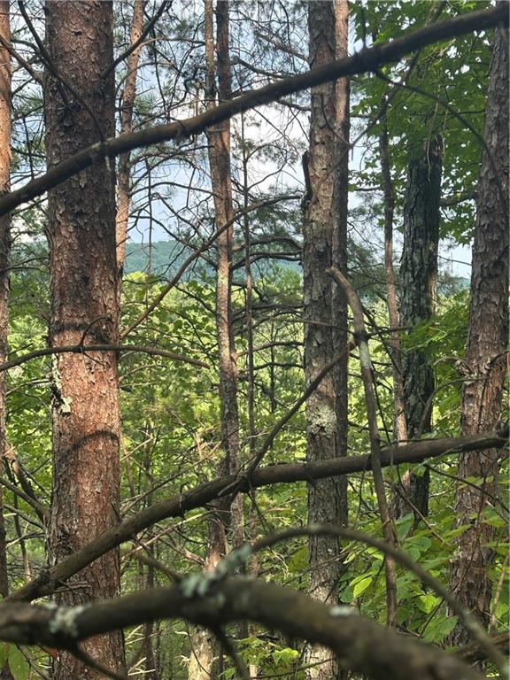 308 Old Whitestone Road East Talking Rock, GA 30175 - Photo 11 of 26 a view of lake from a tree