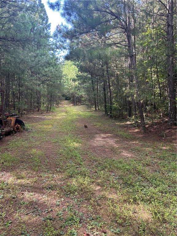 308 Old Whitestone Road East Talking Rock, GA 30175 - Photo 13 of 26 a view of outdoor space with trees