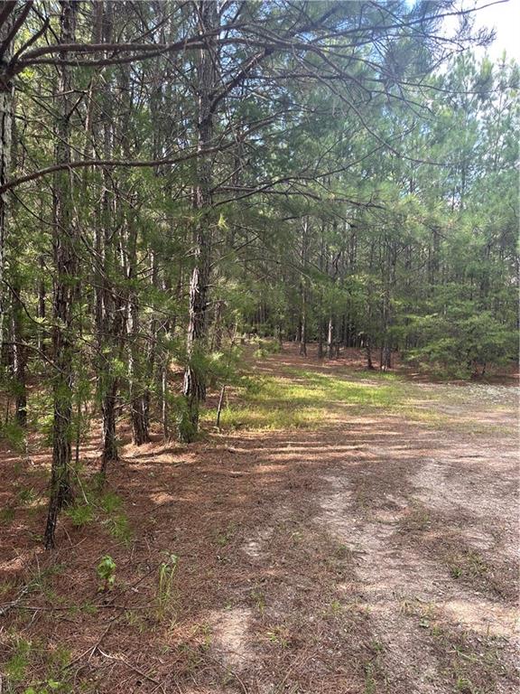 308 Old Whitestone Road East Talking Rock, GA 30175 - Photo 14 of 26 a view of outdoor space with trees