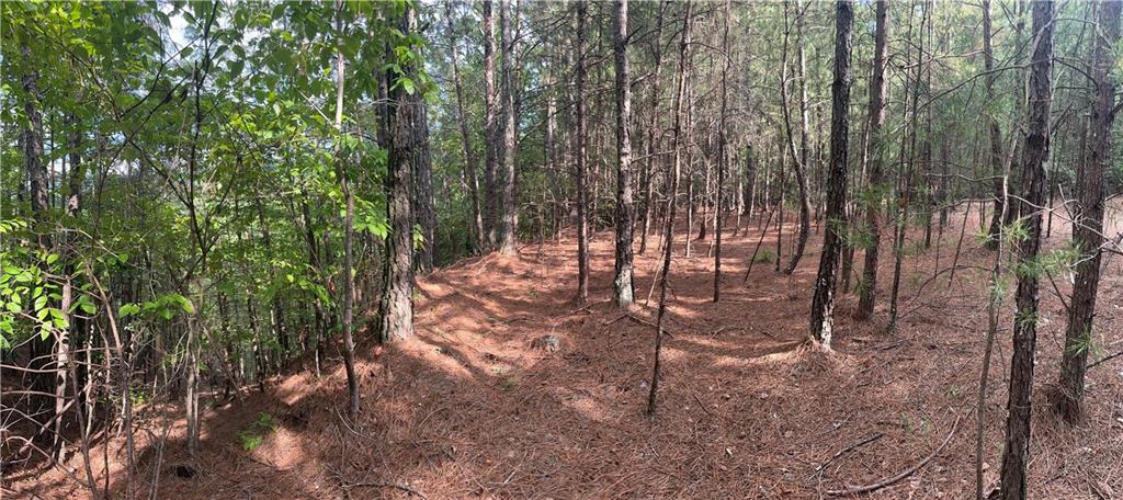 308 Old Whitestone Road East Talking Rock, GA 30175 - Photo 16 of 26 a view of yard