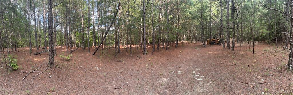 308 Old Whitestone Road East Talking Rock, GA 30175 - Photo 17 of 26 a view of a forest with trees in the background