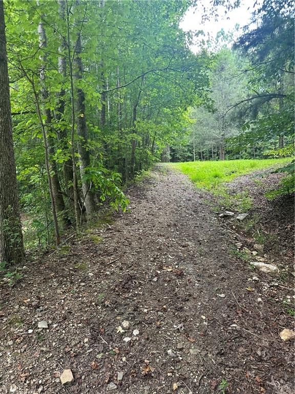 308 Old Whitestone Road East Talking Rock, GA 30175 - Photo 19 of 26 a view of a garden with a bench