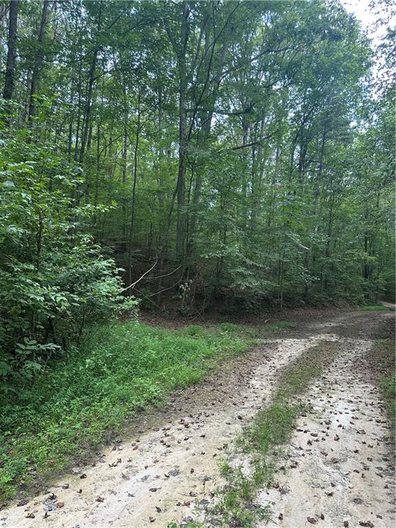 308 Old Whitestone Road East Talking Rock, GA 30175 - Photo 21 of 26 a view of outdoor space and yard