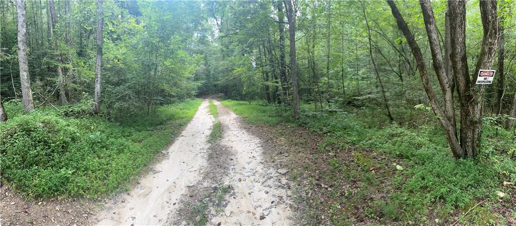 308 Old Whitestone Road East Talking Rock, GA 30175 - Photo 23 of 26 a view of a pathway both side of yard