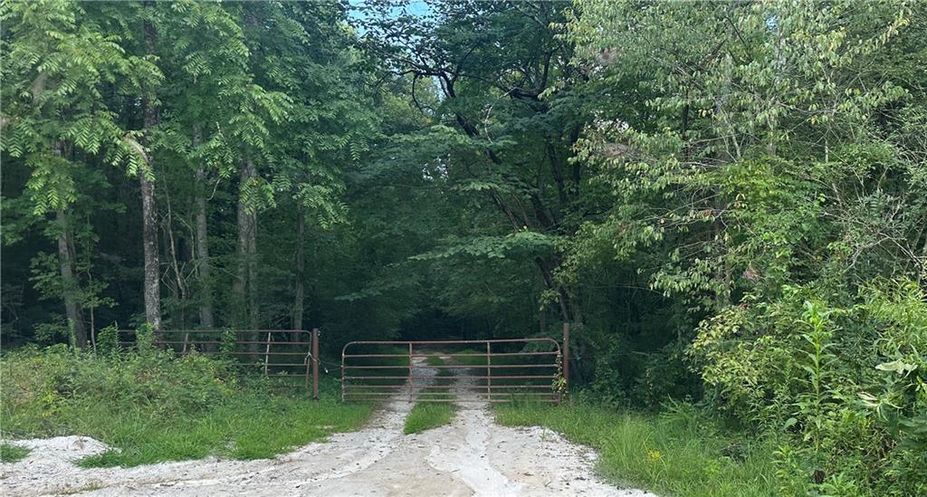 308 Old Whitestone Road East Talking Rock, GA 30175 - Photo 25 of 26 a backyard of a house with lots of green space