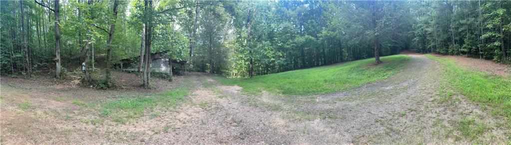 308 Old Whitestone Road East Talking Rock, GA 30175 - Photo 4 of 26 a view of a forest with a trees
