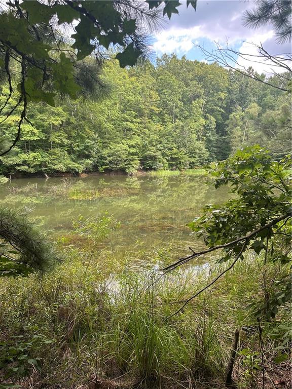 308 Old Whitestone Road East Talking Rock, GA 30175 - Photo 7 of 26 a view of lake view