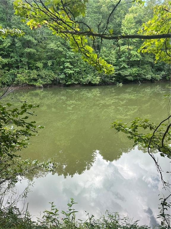 308 Old Whitestone Road East Talking Rock, GA 30175 - Photo 8 of 26 a view of a lake from a balcony
