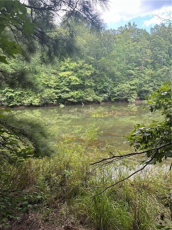 308 Old Whitestone Road East Talking Rock, GA 30175 - Photo 10 of 26 a view of an ocean from a yard
