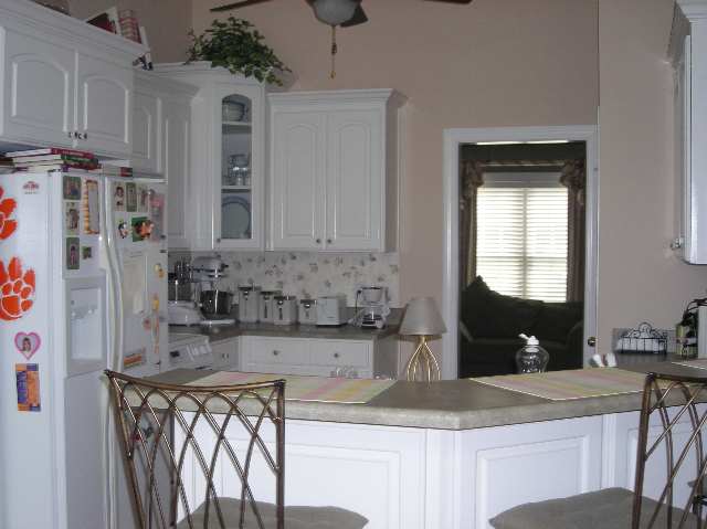 507 Planters Rest Lane Inman, SC 29349 - Photo 4 of 9