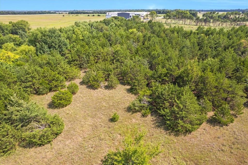 0 Tx-121 & Airport Road Bonham, TX 75418 - Photo 3 of 19 a view of a yard with a tree