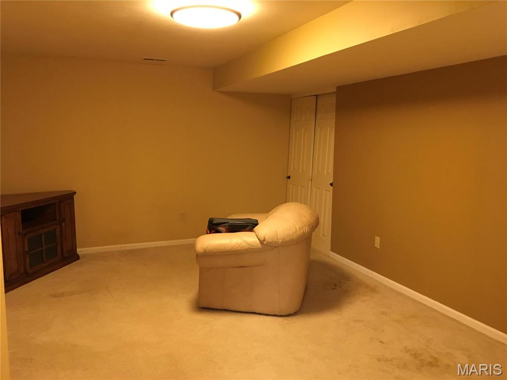 1111 Oak Borough Drive Ballwin, MO 63021 - Photo 38 of 49