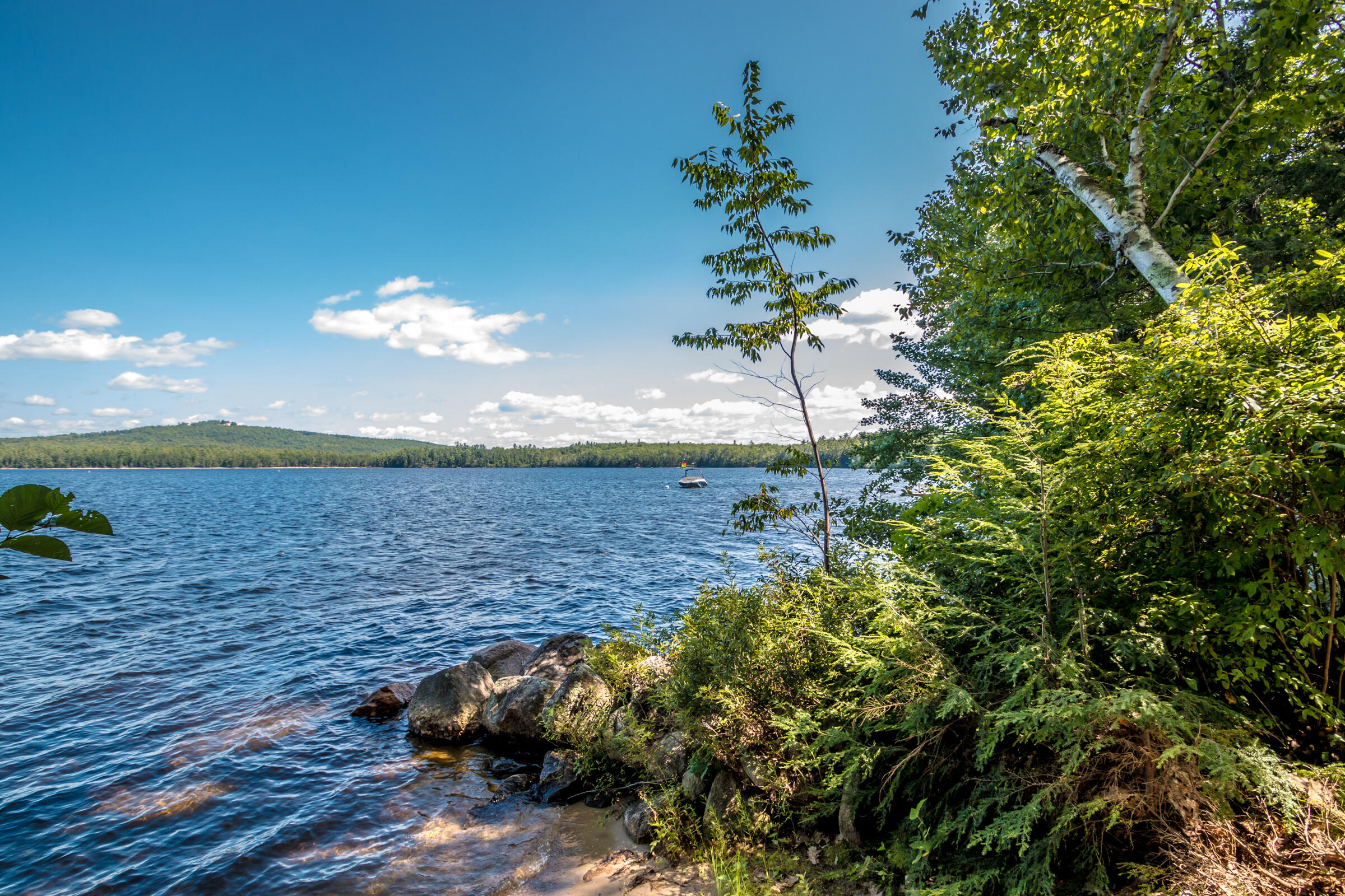255 Shore Road Denmark, ME 04022 - Photo 7 of 39 13