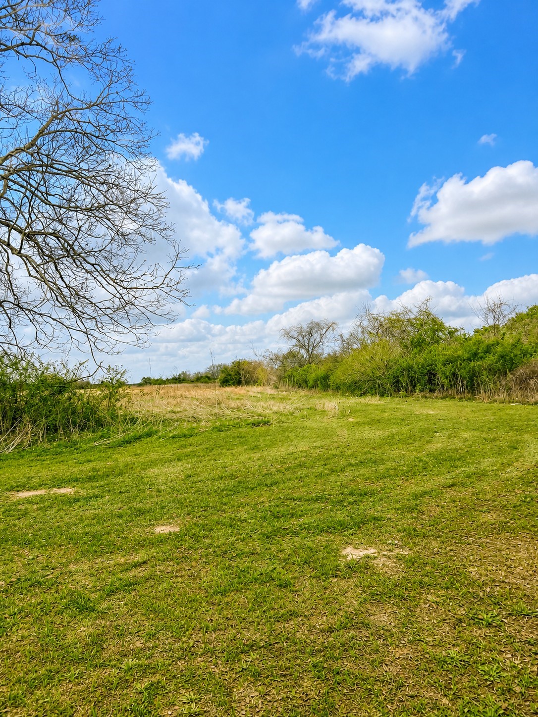 1161 West FM 1161 Road Wharton, TX 77488 - Photo 10 of 14
