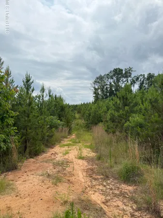 $168,644 | Dividing Ridge Road, Gore Springs, MS 38929
