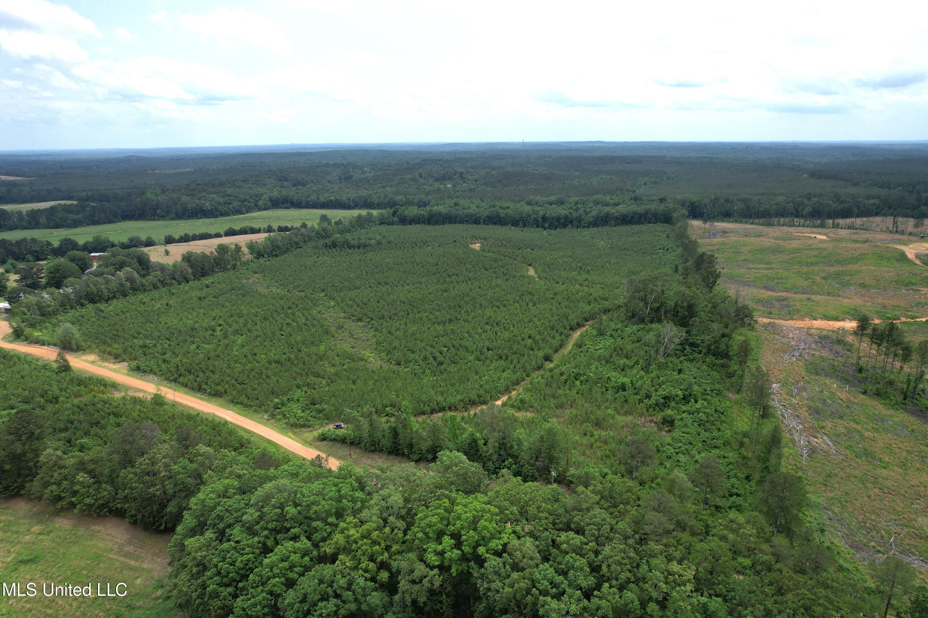 Dividing Ridge Road Gore Springs, MS 38929 - Photo 2 of 11 DJI_0738