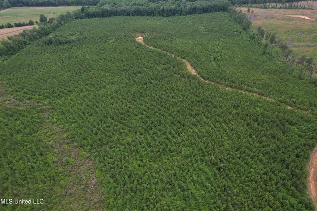 $174,667 | Dividing Ridge Road, Gore Springs, MS 38929