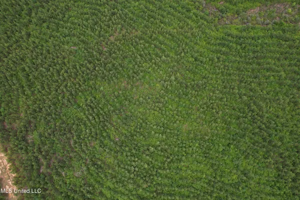 $168,644 | Dividing Ridge Road, Gore Springs, MS 38929