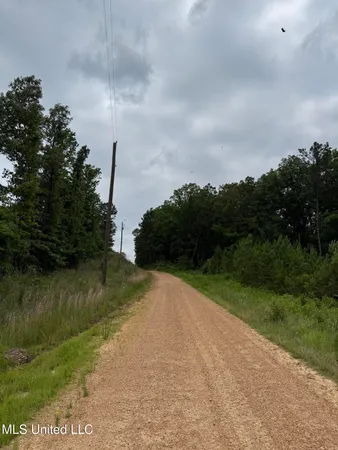 $168,644 | Dividing Ridge Road, Gore Springs, MS 38929