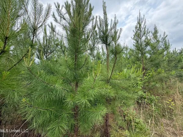 $168,644 | Dividing Ridge Road, Gore Springs, MS 38929