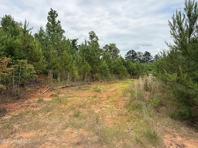 $174,667 | Dividing Ridge Road, Gore Springs, MS 38929