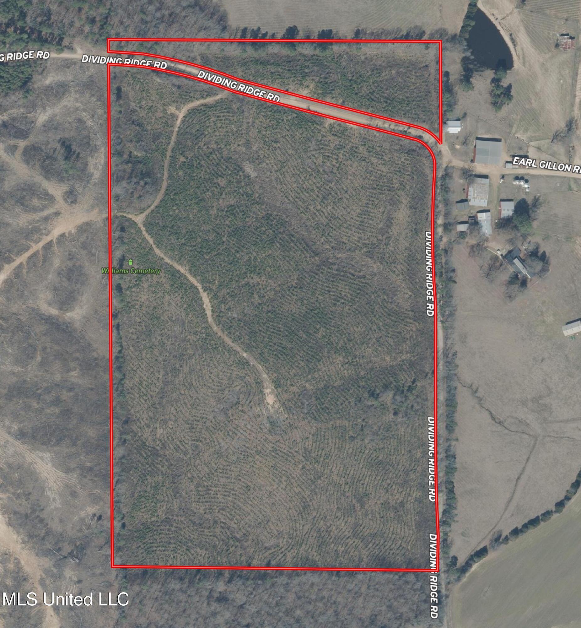 Dividing Ridge Road Gore Springs, MS 38929 - Photo 8 of 11 Aerial