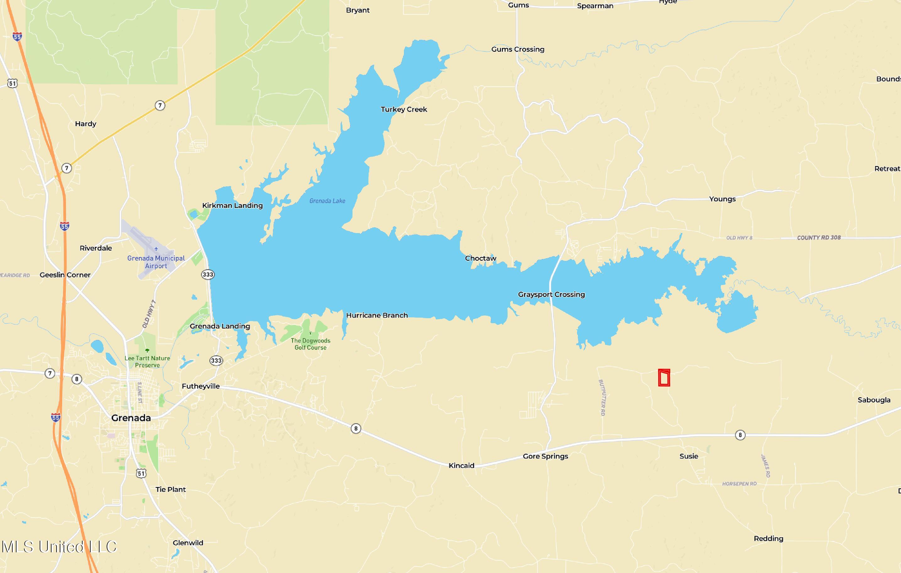 Dividing Ridge Road Gore Springs, MS 38929 - Photo 9 of 11 Overview